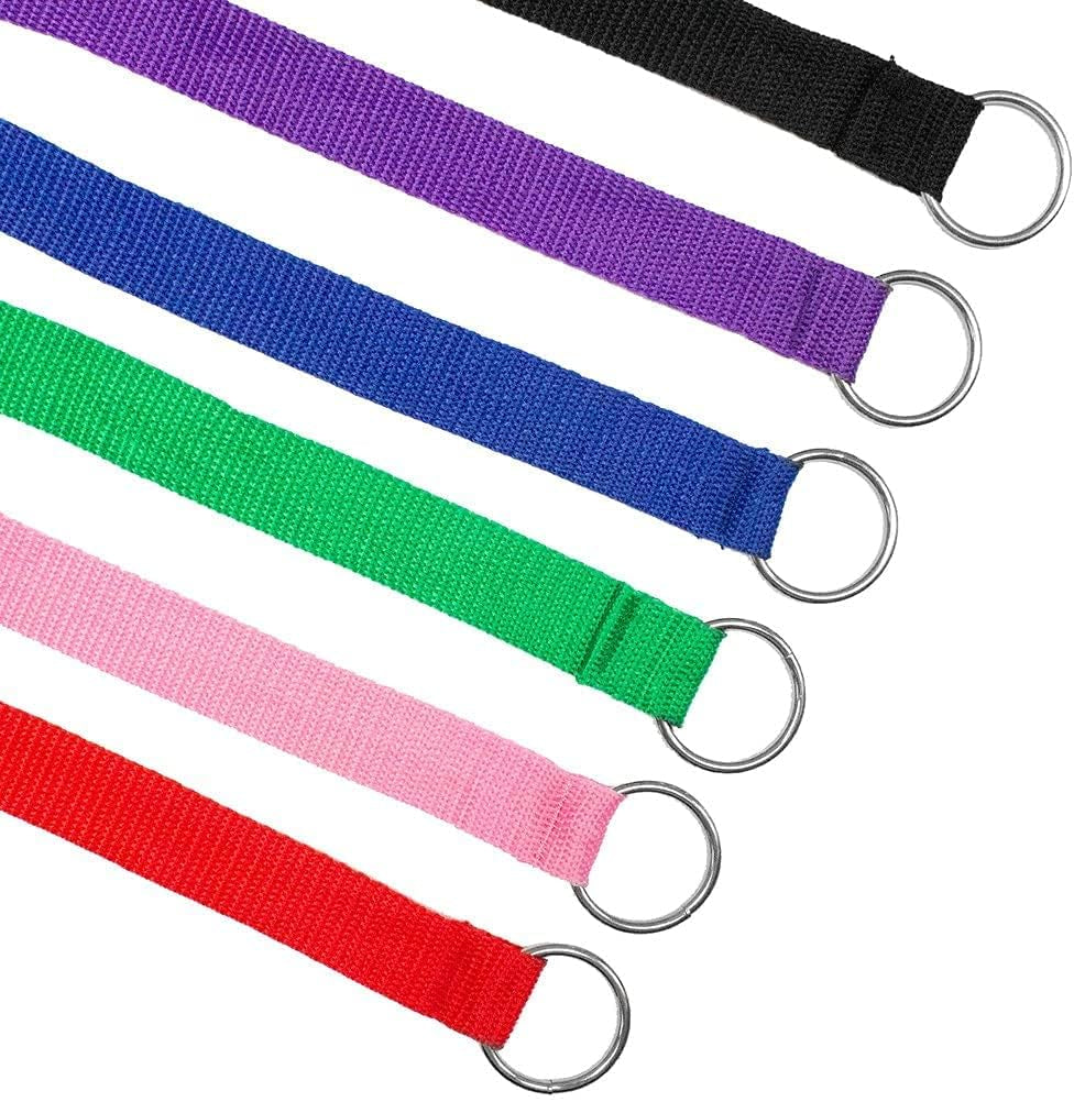 Luxury 12-Pack Slip Lead Dog Leash – 4ft x ½” | Premium Nylon Leashes with Metal O-Ring for Groomers, Daycares, Shelters & Vets | Machine Washable, One-Size, 6 Vibrant Colors