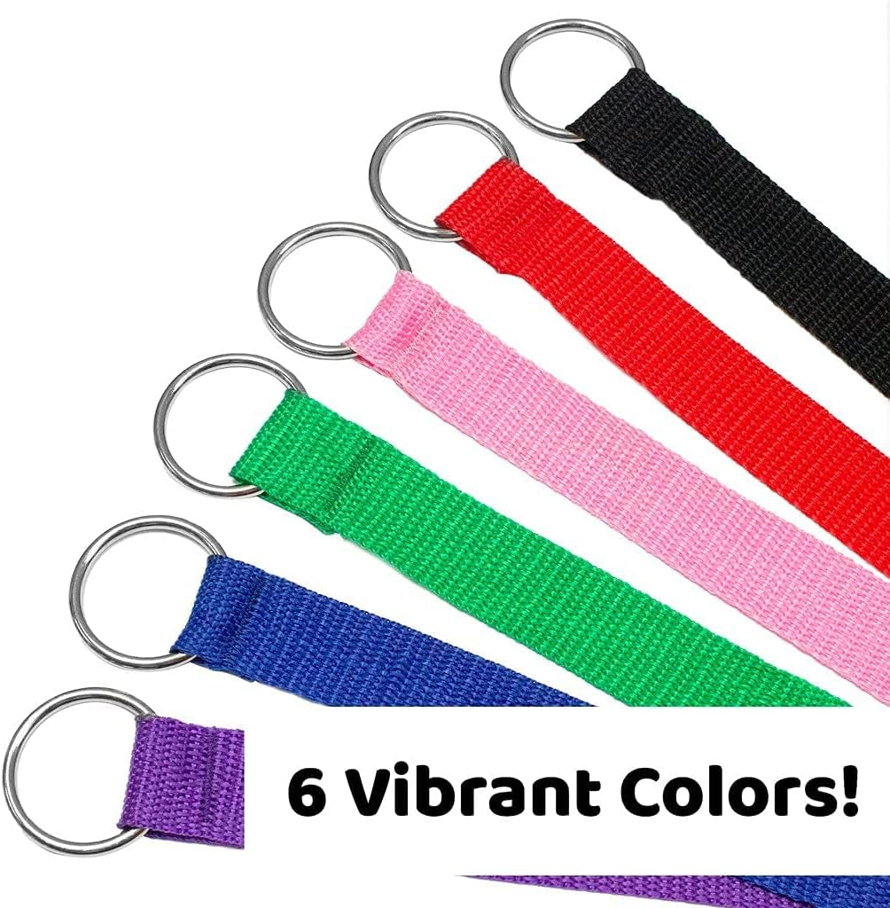 Luxury 12-Pack Slip Lead Dog Leash – 4ft x ½” | Premium Nylon Leashes with Metal O-Ring for Groomers, Daycares, Shelters & Vets | Machine Washable, One-Size, 6 Vibrant Colors