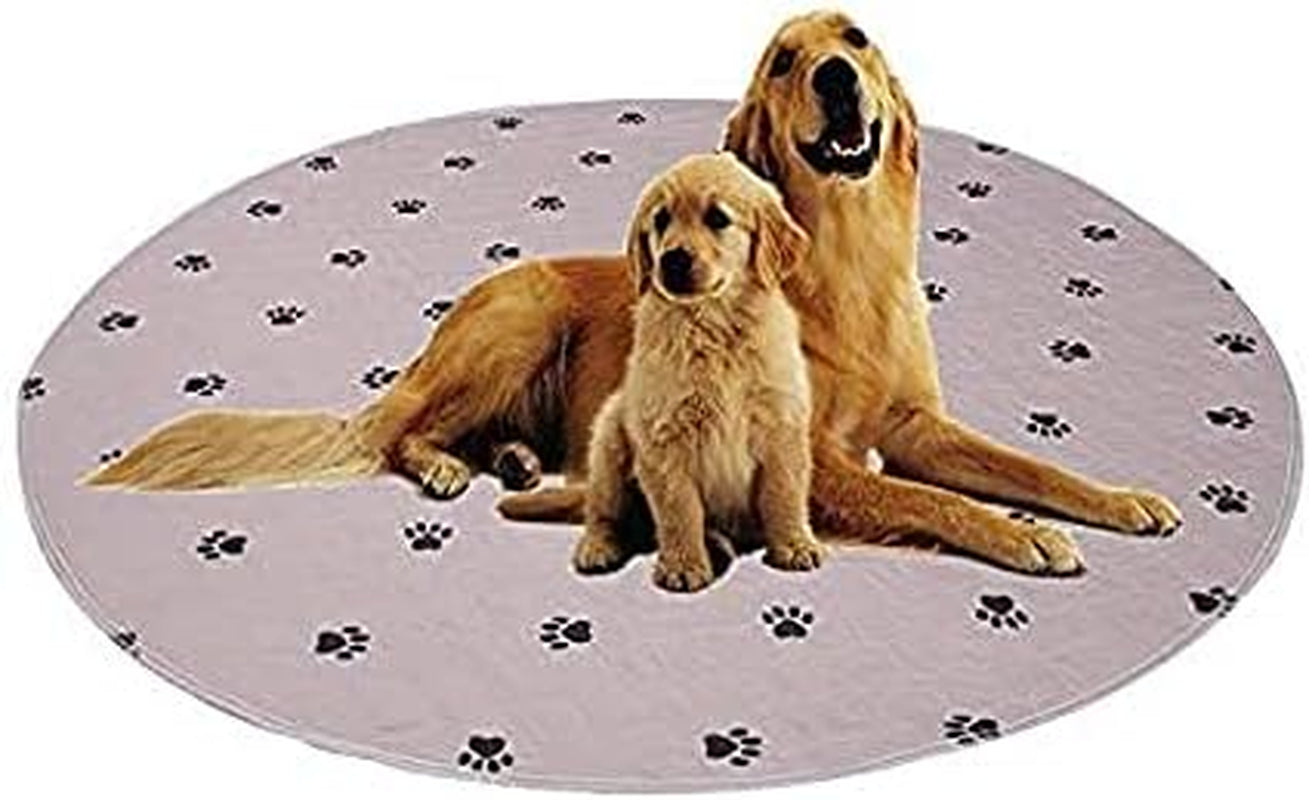 SincoPet LuxeGuard™ 48x48” Reusable Pee Pads (2-Pack) + Puppy Grooming Gloves – Ultra-Absorbent, Waterproof & Non-Slip Dog Training Mats