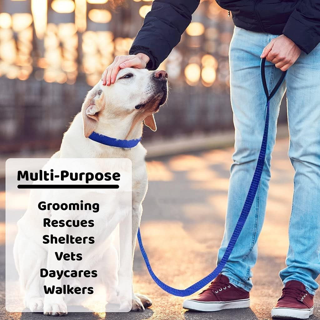 Luxury 12-Pack Slip Lead Dog Leash – 4ft x ½” | Premium Nylon Leashes with Metal O-Ring for Groomers, Daycares, Shelters & Vets | Machine Washable, One-Size, 6 Vibrant Colors
