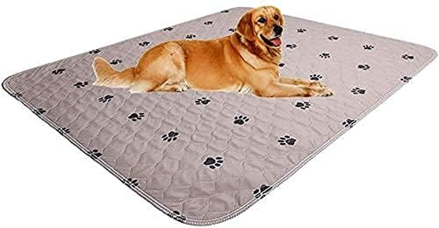 SincoPet LuxeGuard™ 48x48” Reusable Pee Pads (2-Pack) + Puppy Grooming Gloves – Ultra-Absorbent, Waterproof & Non-Slip Dog Training Mats
