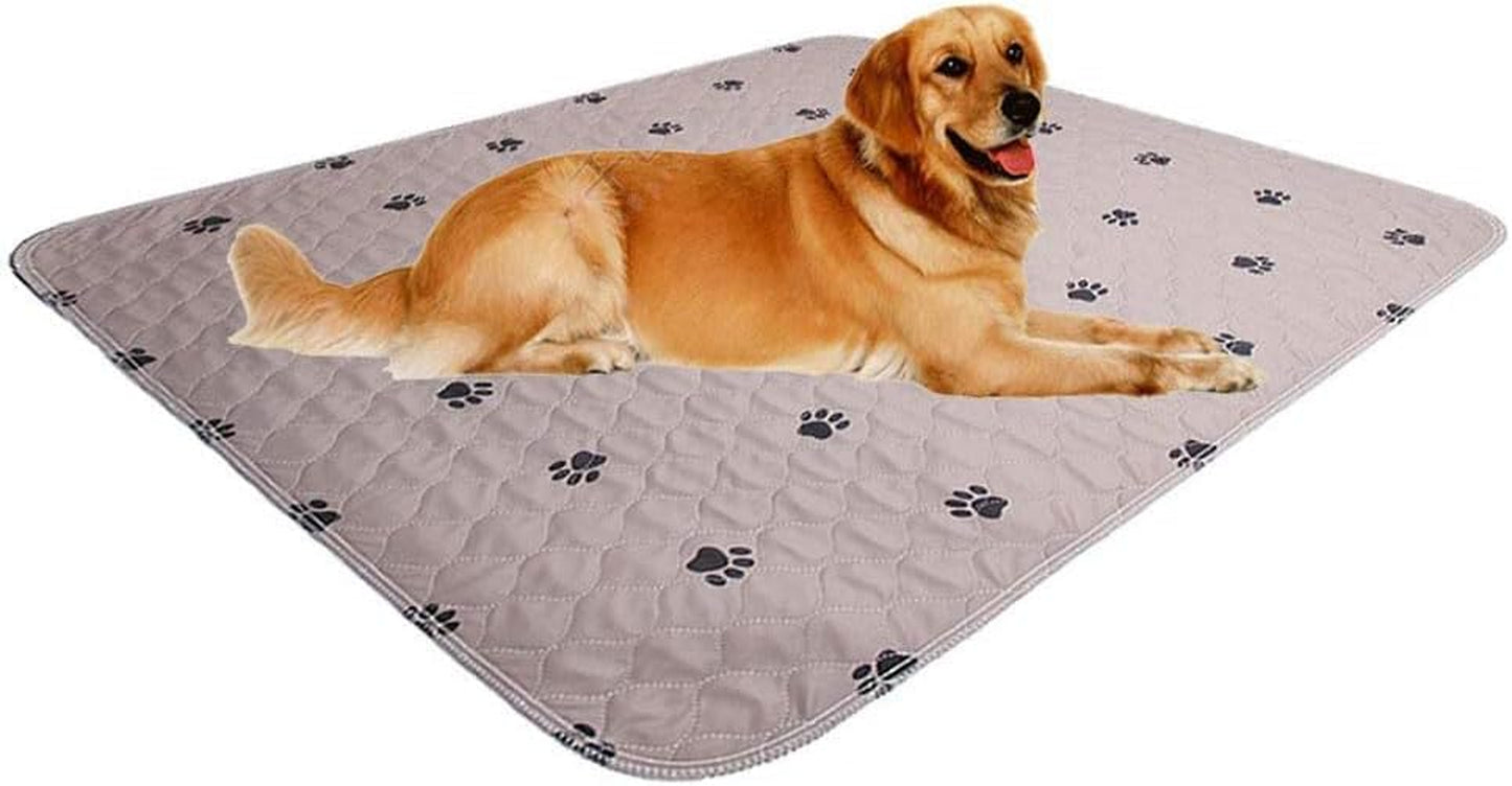 SincoPet LuxeGuard™ 48x48” Reusable Pee Pads (2-Pack) + Puppy Grooming Gloves – Ultra-Absorbent, Waterproof & Non-Slip Dog Training Mats