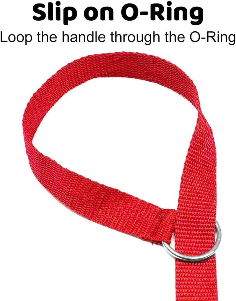 Luxury 12-Pack Slip Lead Dog Leash – 4ft x ½” | Premium Nylon Leashes with Metal O-Ring for Groomers, Daycares, Shelters & Vets | Machine Washable, One-Size, 6 Vibrant Colors