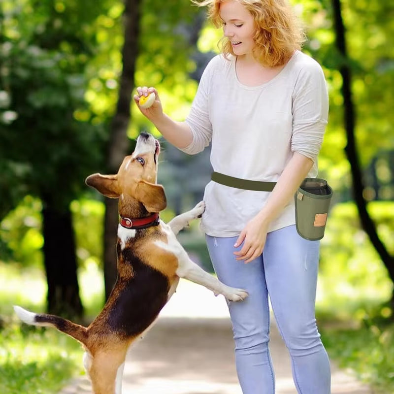 Luxury Hands-Free Dog Training Treat Bag – Large Capacity, Waterproof & Lightweight Snack Pouch with Adjustable Waist Strap