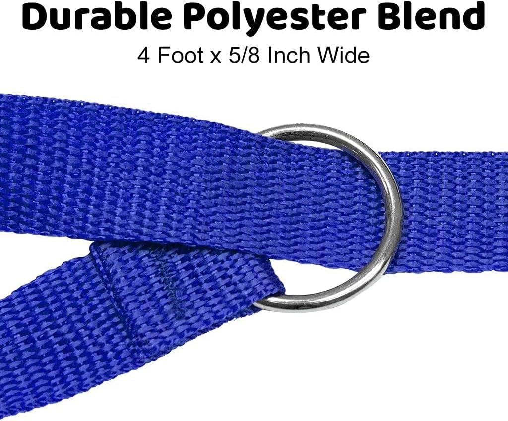 Luxury 12-Pack Slip Lead Dog Leash – 4ft x ½” | Premium Nylon Leashes with Metal O-Ring for Groomers, Daycares, Shelters & Vets | Machine Washable, One-Size, 6 Vibrant Colors