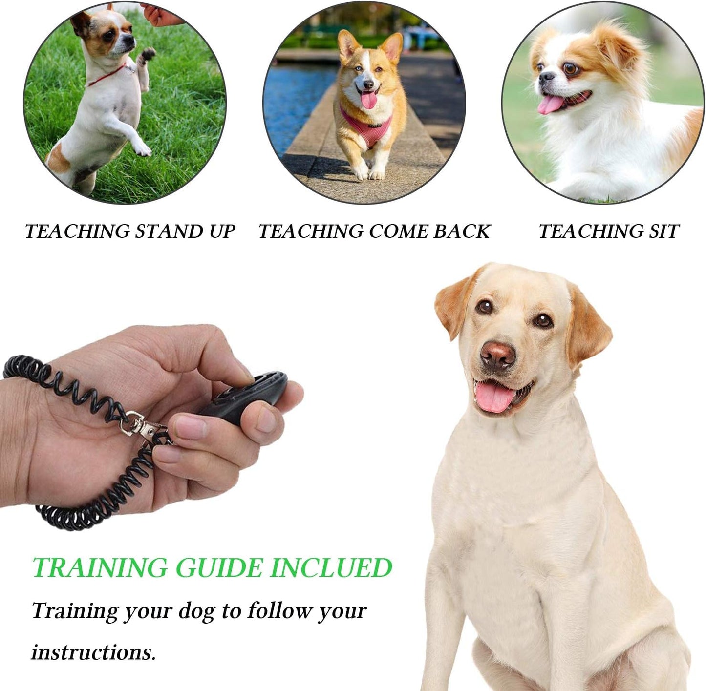 4-in-1 Premium Dog Training Kit – Luxury Treat Pouch, Adjustable Clicker, Silent Whistle & Doorbells Set for Obedience & Potty Training – Ideal Gift for Dog Owners