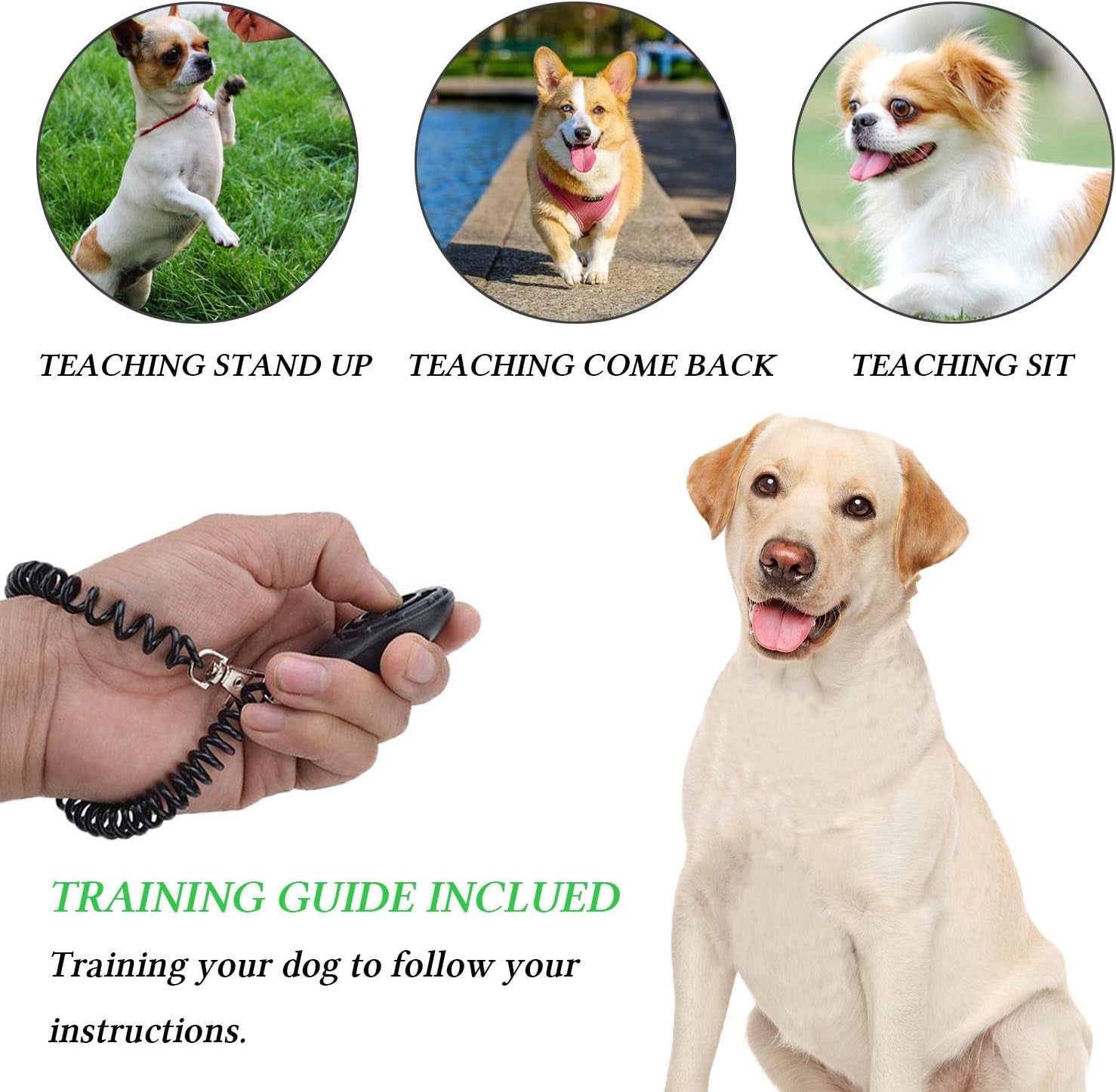 4-in-1 Premium Dog Training Kit – Luxury Treat Pouch, Adjustable Clicker, Silent Whistle & Doorbells Set for Obedience & Potty Training – Ideal Gift for Dog Owners