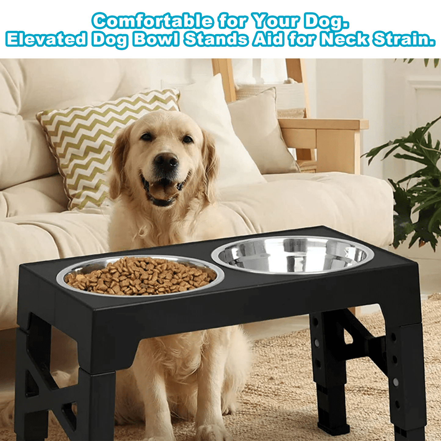 Elevated Dog Bowls : Luxury Adjustable Raised Feeder with 2 Stainless Steel Bowls, 5 Heights for Small, Medium & Large Dogs, Anti-Slip & Ergonomic for Healthy Digestion