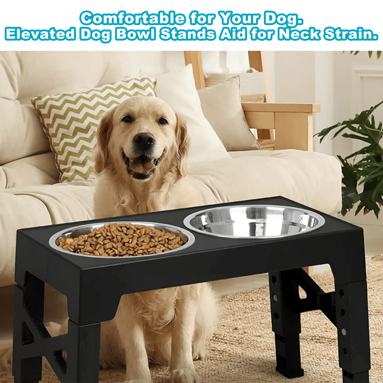 Elevated Dog Bowls : Luxury Adjustable Raised Feeder with 2 Stainless Steel Bowls, 5 Heights for Small, Medium & Large Dogs, Anti-Slip & Ergonomic for Healthy Digestion