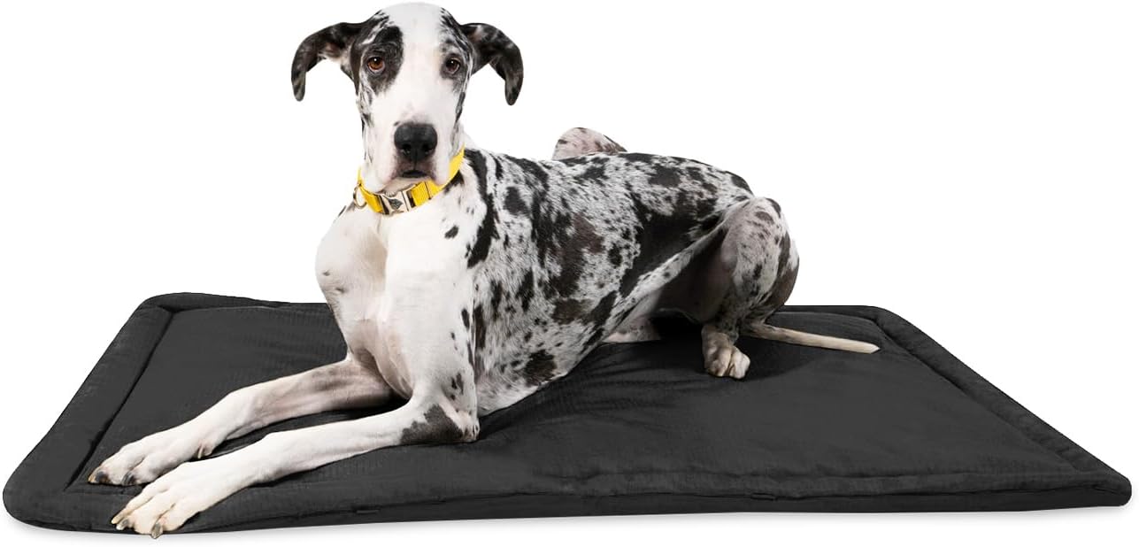Tough Ripstop Dog Crate Pad : X-Small Blue Quartz, Ultra-Durable, Machine Washable, Non-Slip, Eco-Friendly Comfort for Wire Crates
