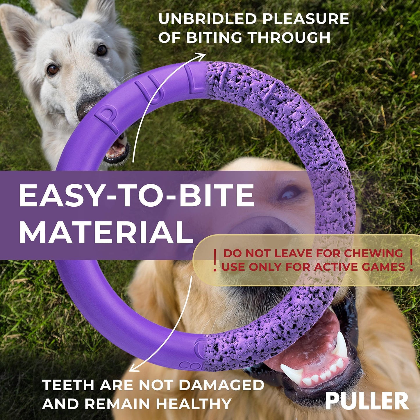 Elite Dual Ring Dog Fitness Set – Premium Puller Outdoor Fetch & Training Toys for Large Dogs (2-Pack, Standard Size)
