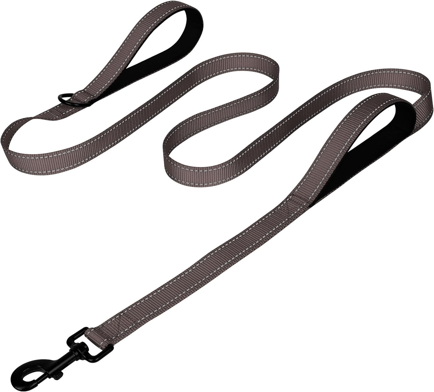 Joytale Luxe Double-Sided Reflective Dog Leash – Heavy-Duty Padded Nylon, 5FT Orange Lead for Medium & Large Dogs, Night Safety + Comfort Grip