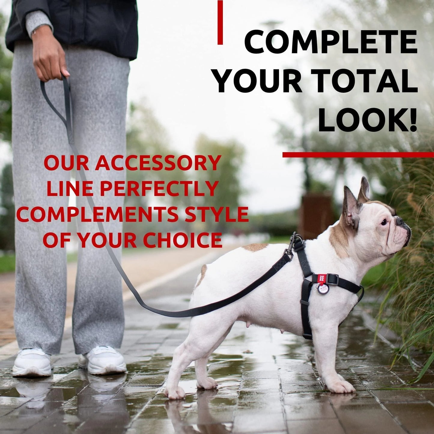 LuxeStride™ Waterproof Dog Leash – Anti-Slip, Odor-Free Collartex Leash for Small to Large Dogs – 4ft/6ft Heavy-Duty, Dirt-Resistant Walk Leash with Premium Aluminum Clasp