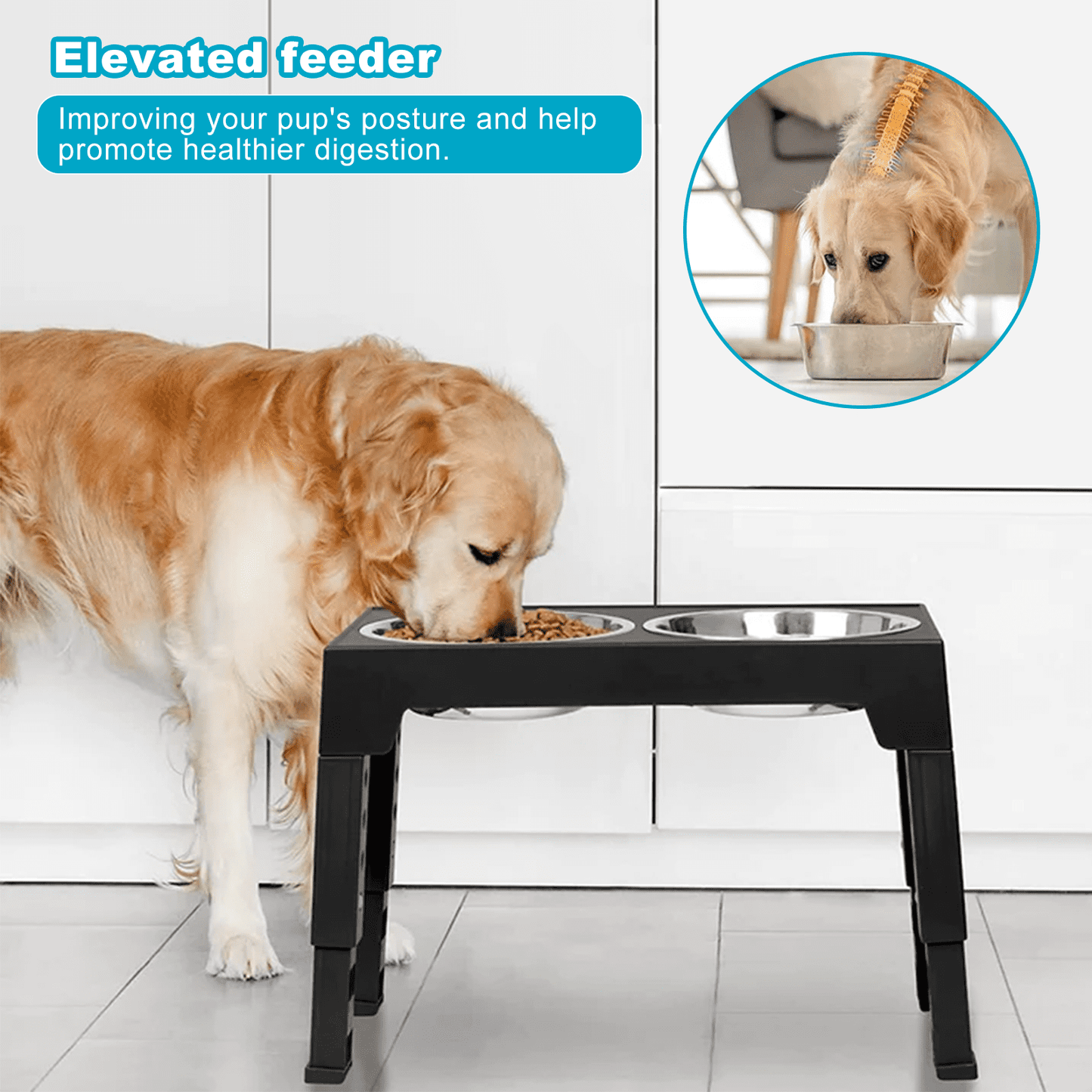 Elevated Dog Bowls : Luxury Adjustable Raised Feeder with 2 Stainless Steel Bowls, 5 Heights for Small, Medium & Large Dogs, Anti-Slip & Ergonomic for Healthy Digestion