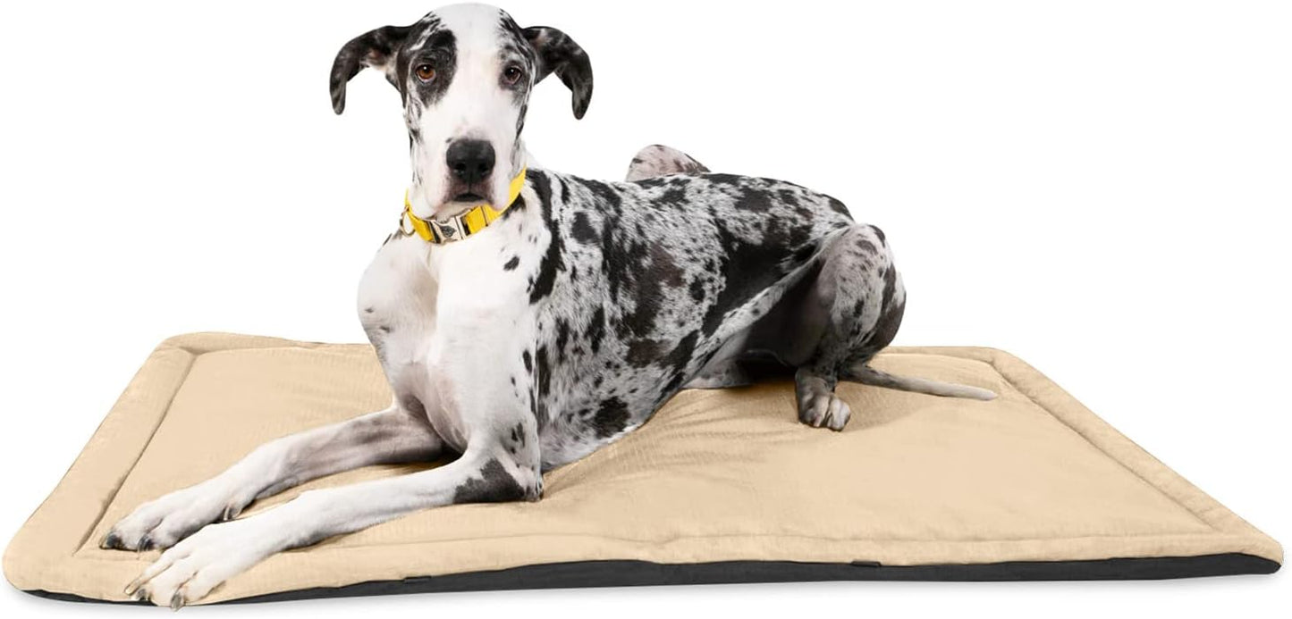 Tough Ripstop Dog Crate Pad : X-Small Blue Quartz, Ultra-Durable, Machine Washable, Non-Slip, Eco-Friendly Comfort for Wire Crates