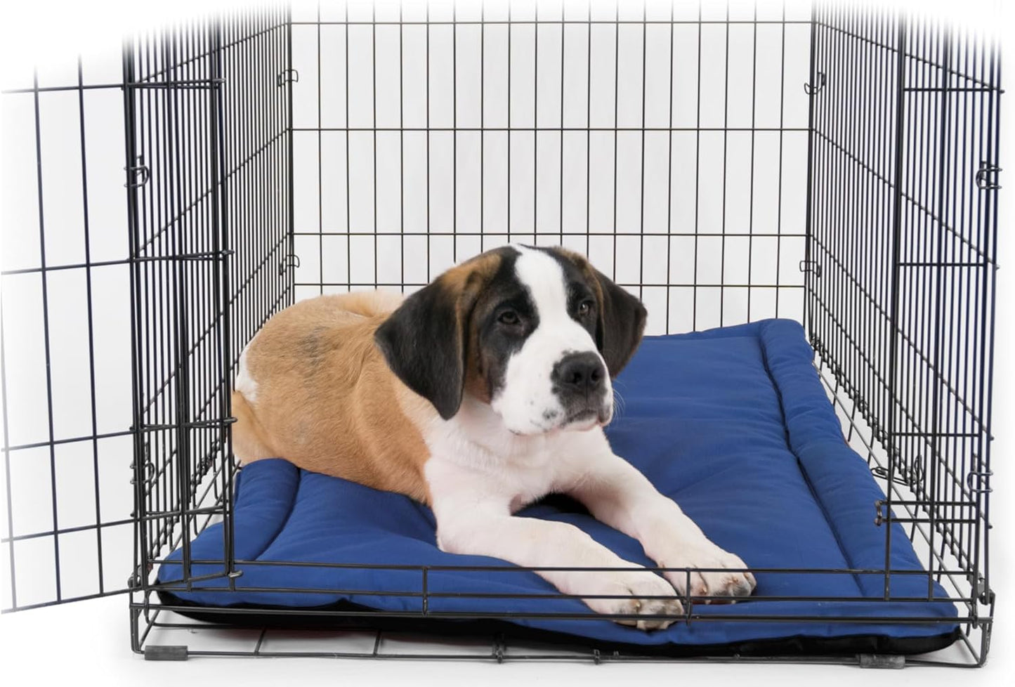Tough Ripstop Dog Crate Pad : X-Small Blue Quartz, Ultra-Durable, Machine Washable, Non-Slip, Eco-Friendly Comfort for Wire Crates