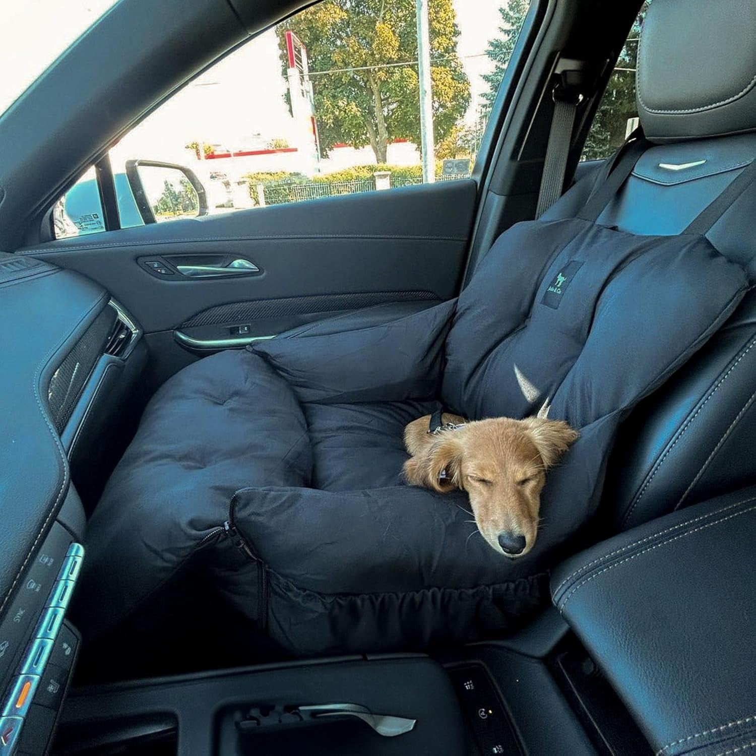 Pawsh & Co™ LuxeRide Dog Car Seat Bed – Plush Travel Carrier for Small & Medium Dogs (1–25lbs), Cushioned, Water-Resistant, Machine Washable, Convertible Design – Jet Black Elegance