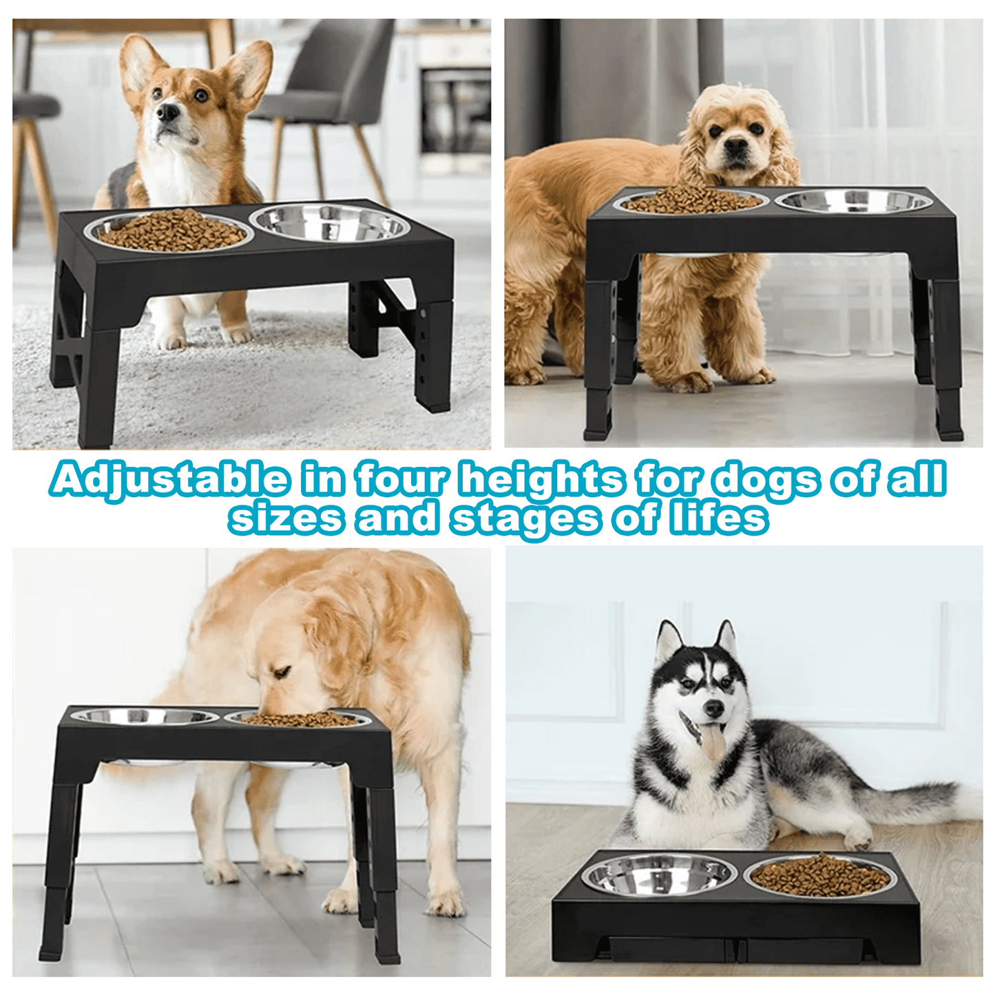 Elevated Dog Bowls : Luxury Adjustable Raised Feeder with 2 Stainless Steel Bowls, 5 Heights for Small, Medium & Large Dogs, Anti-Slip & Ergonomic for Healthy Digestion