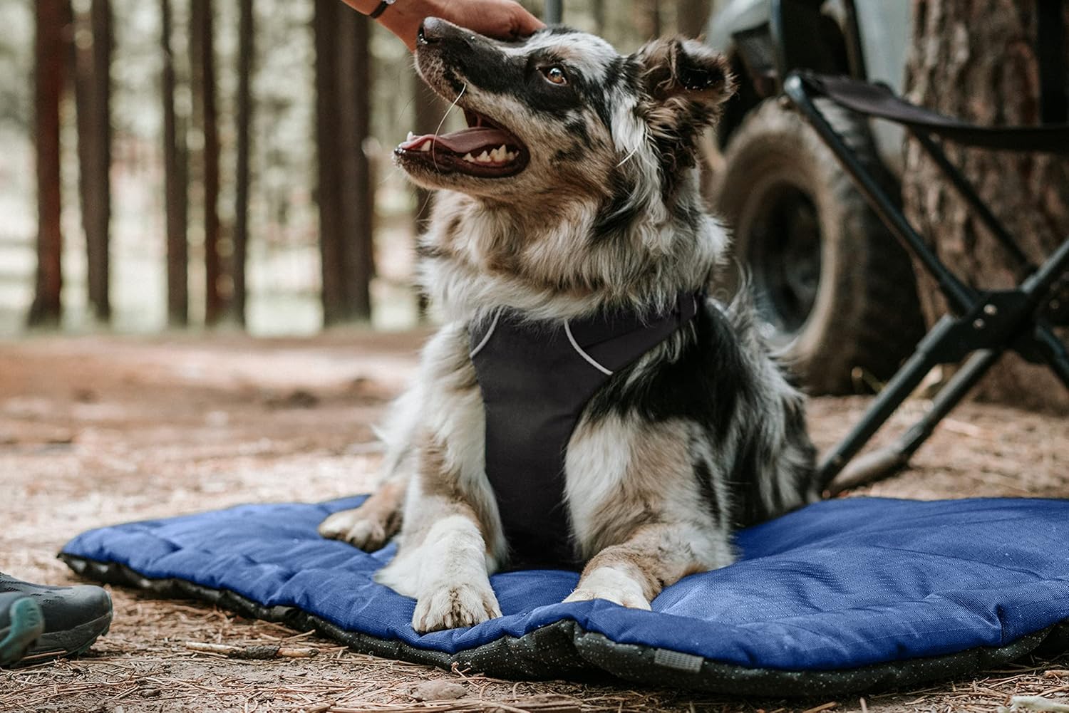 Tough Ripstop Dog Crate Pad : X-Small Blue Quartz, Ultra-Durable, Machine Washable, Non-Slip, Eco-Friendly Comfort for Wire Crates