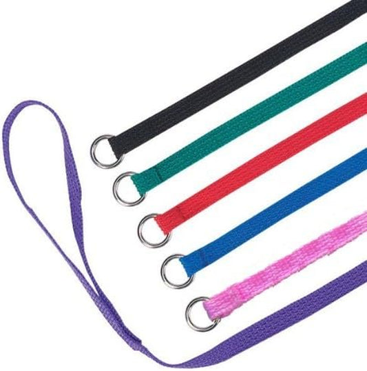 Luxury 12-Pack Slip Lead Dog Leash – 4ft x ½” | Premium Nylon Leashes with Metal O-Ring for Groomers, Daycares, Shelters & Vets | Machine Washable, One-Size, 6 Vibrant Colors