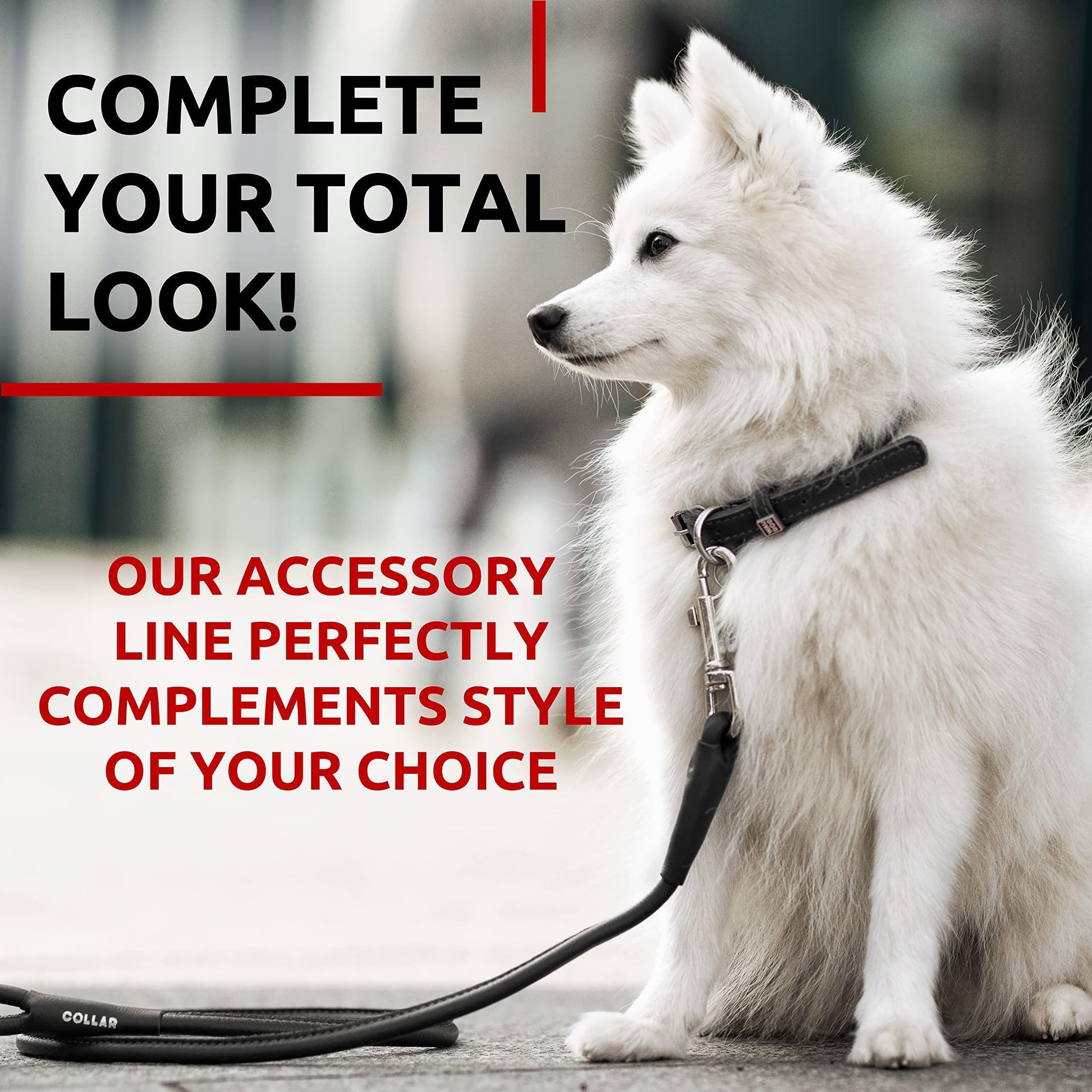 Luxury Rolled Leather Dog Leash – 4ft Premium Soft Padded Lead for Small, Medium & Large Dogs | Heavy-Duty, Handcrafted Leash for Walking & Training | Black | Elegant, Durable & Gentle on Hands
