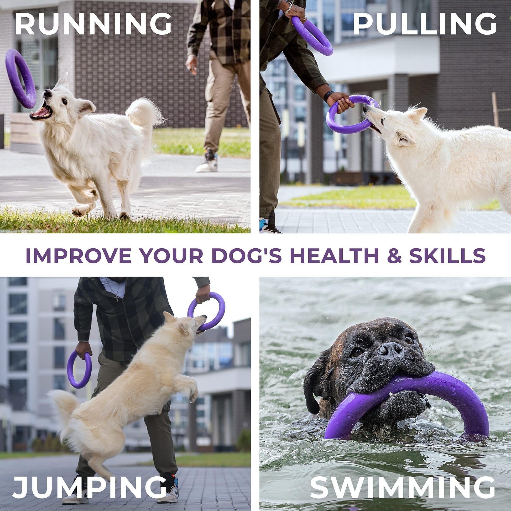 Elite Dual Ring Dog Fitness Set – Premium Puller Outdoor Fetch & Training Toys for Large Dogs (2-Pack, Standard Size)