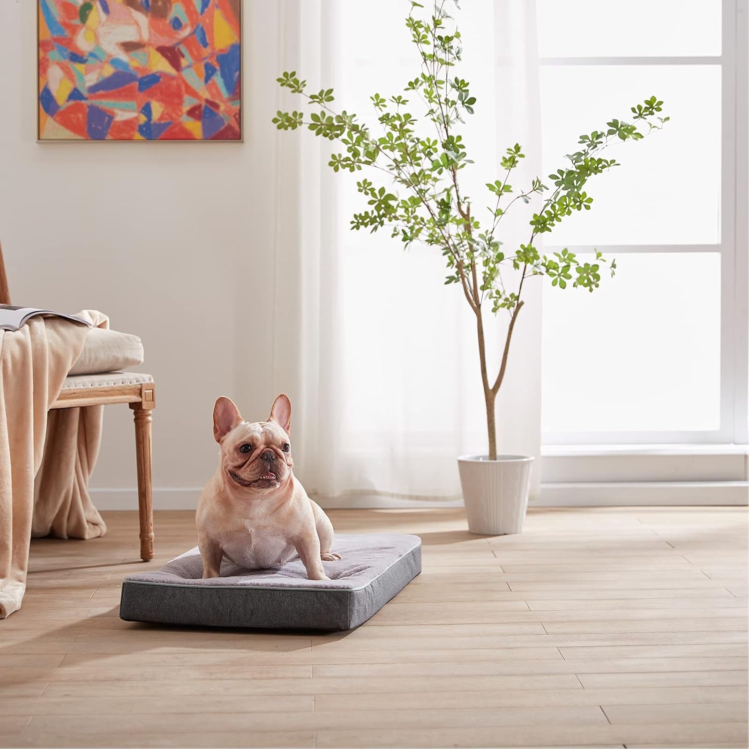 URGVANZ PET Orthopedic Cooling Memory Foam Dog Bed – Medium, 35" x 22" x 3", Plush Faux Fur, Waterproof Lining, CertiPUR-US Certified, Washable Cover, Joint Support