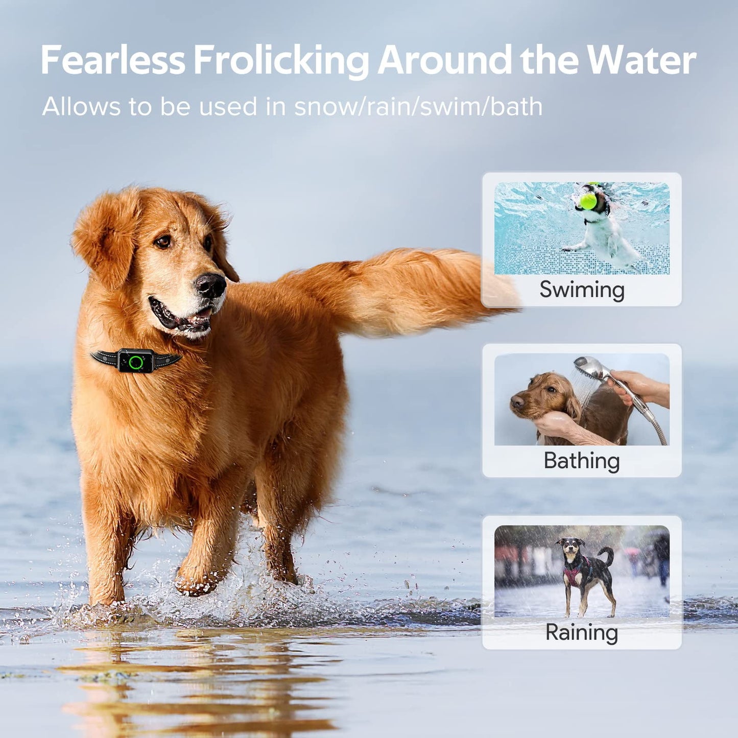 Luxury Smart Dog Training Collar for 2 Dogs : 2600ft Remote, Waterproof E-Collar with Adjustable Vibration, Gentle Shock, Beep, Fast Charging, for Small, Medium & Large Breeds