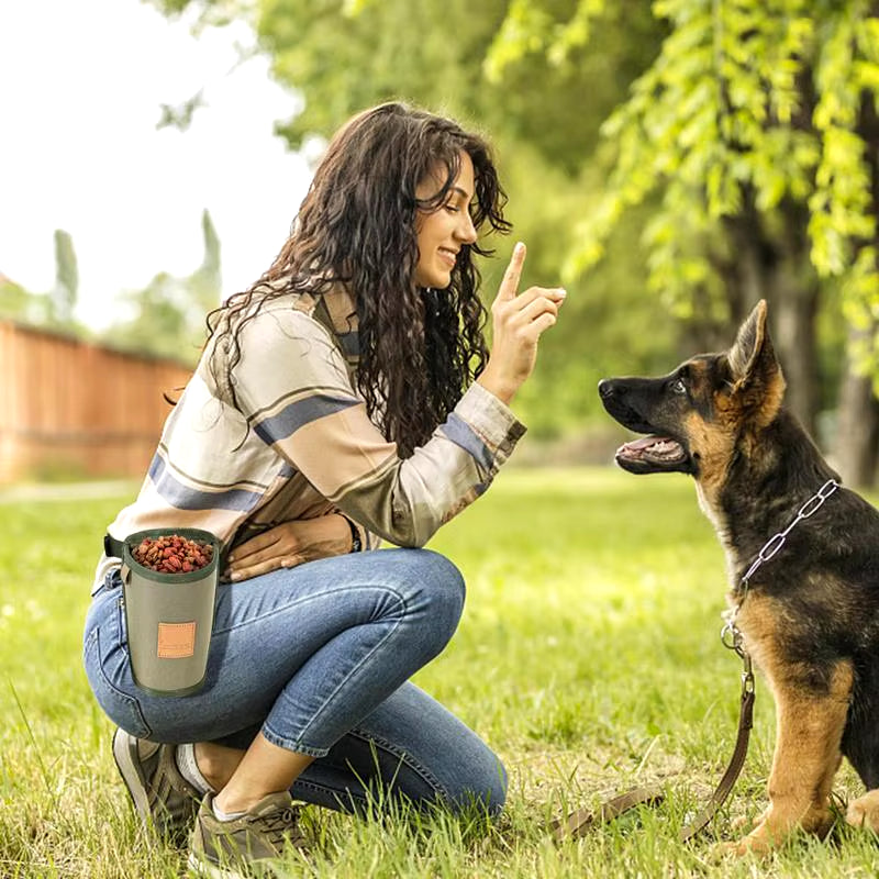 Luxury Hands-Free Dog Training Treat Bag – Large Capacity, Waterproof & Lightweight Snack Pouch with Adjustable Waist Strap