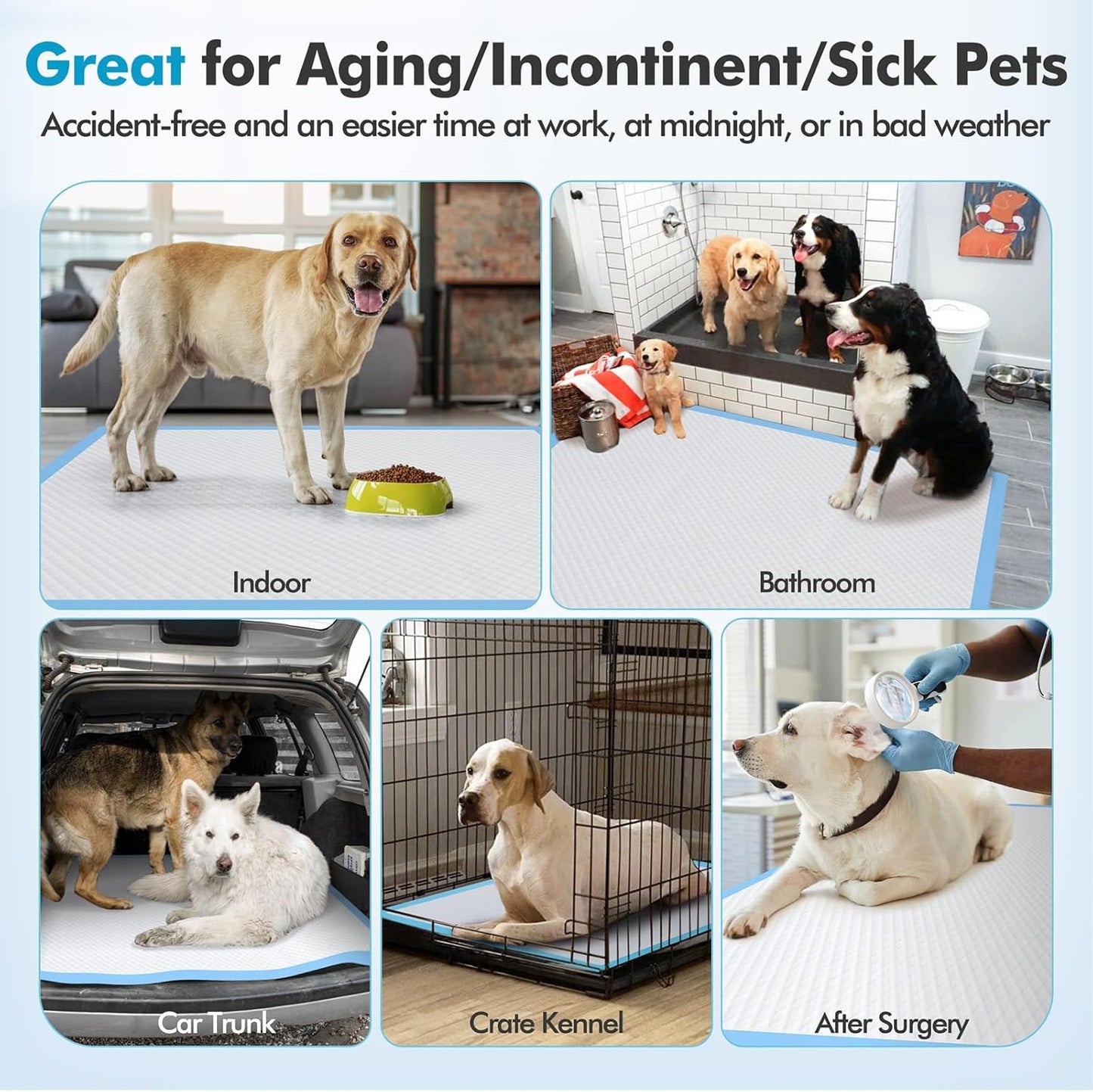 XXXXL Ultra-Absorbent Luxury Dog Pee Pads (36"x36") – Heavy-Duty, Leakproof, Quick-Dry Puppy Pads with 12-Cup Capacity, 6-Layer Protection for Dogs, Cats & Pets, Pack of 30