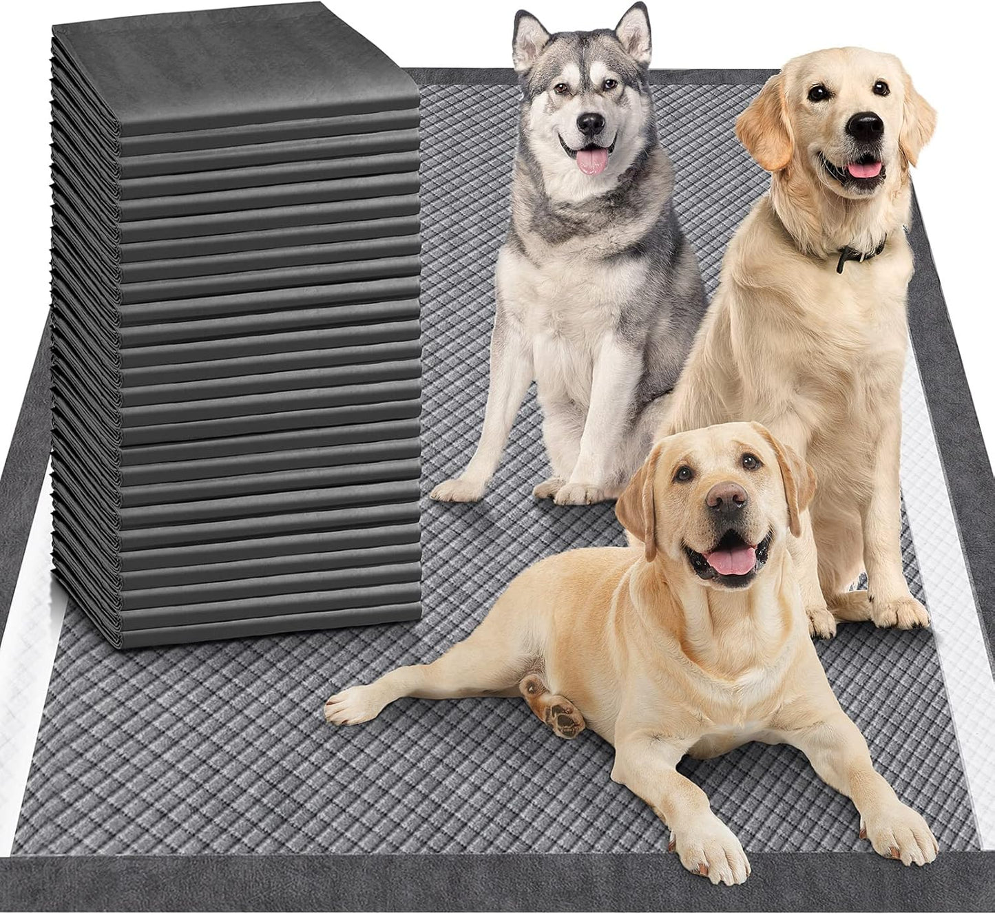 XXXXL Ultra-Absorbent Luxury Dog Pee Pads (36"x36") – Heavy-Duty, Leakproof, Quick-Dry Puppy Pads with 12-Cup Capacity, 6-Layer Protection for Dogs, Cats & Pets, Pack of 30