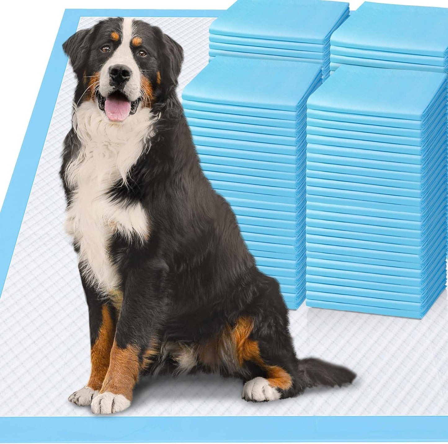 XXXXL Ultra-Absorbent Luxury Dog Pee Pads (36"x36") – Heavy-Duty, Leakproof, Quick-Dry Puppy Pads with 12-Cup Capacity, 6-Layer Protection for Dogs, Cats & Pets, Pack of 30